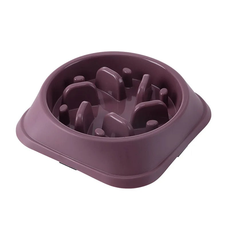 Slow Feeder Dog Bowl (Anti-Choking)